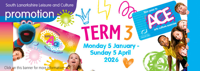 Term 3 ACE / Tiny ACE activities